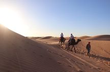 2 days tour from marrakech to merzouga