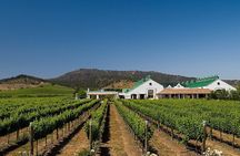 Casas del Bosque Vineyard with Lunch Menu included from Santiago