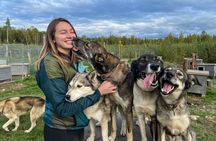 Sled Dog Kennel Tour 