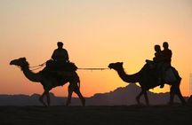 Private Camel Ride Sunset View at Wadi Rum, 30% off