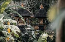 Ubud: Purification at the temple, waterfalls, Tegallalang rice fields