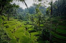 Ubud: Purification at the temple, waterfalls, Tegallalang rice fields
