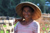 Ubud: Purification at the temple, waterfalls, Tegallalang rice fields