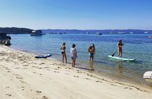 Afternoon Moreton Bay Sailing Tour