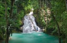 Blue Hole Waterfalls and Rasta Garden from Montego Bay