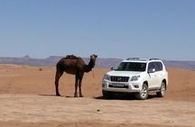 Morocco Vineyard Visit and Gourmet Tours