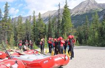 Sunwapta Challenge Whitewater Rafting: Class III Rapids