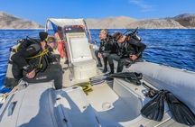 Symi Dive Trip - Half day (2 Dives)