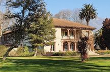 Tarapacá Winery + Santa Ema Winery, Tour + Private Transfer