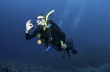 Lets Go Diving with pickup from hotel 