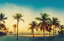 Miami: Open-top Bus Sightseeing Night Tour with Live Guide