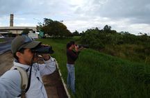 Iguazu Expeditions Morning Birdwatching