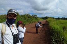 Iguazu Expeditions Morning Birdwatching