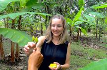 Half Day Tour Cocoa Farm Fruits and Plantations from Guayaquil