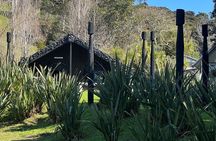 Waiheke Island History and Heritage Tour