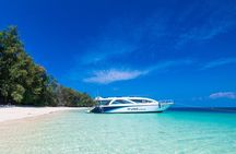 Phi Phi and Bamboo Islands Tour from Phuket
