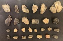 Full-Day Jomon World Heritage Site Tour in Northern Tsugaru Area