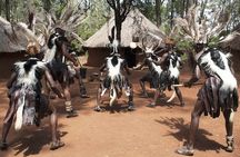 Elephant Orphanage, Giraffe Center & Bomas of Kenya Day Tour