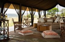 3-Day Camping Safari to Serengeti and Ngorongoro Crater - Group Joining Tour