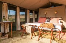 3-Day Camping Safari to Serengeti and Ngorongoro Crater - Group Joining Tour