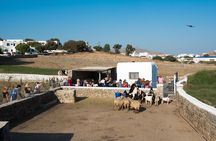 Mykonian Farm Experience