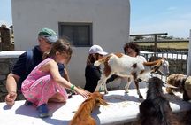 Mykonian Farm Experience