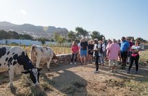 Mykonian Farm Experience