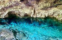 Jozani Forest, Kuza Cave Tour, Paje Beach, The Rock, Salaam Cave