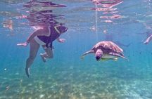Akumal; Snorkeling and Photos with Turtles