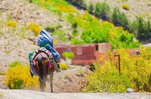 15 Days in Morocco -South Morocco Adventure: Marrakech to Essaouira 