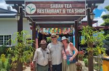 Full Day Sabah Tea Plantation & WWII Memorial