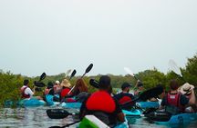 Kayak Through the Mangroves to the Purple Island