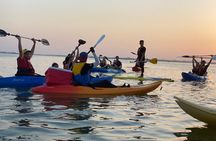 Kayak Through the Mangroves to the Purple Island