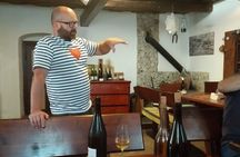 Wine Tasting Tour in Tokaj Wine Region Slovakia. With transport