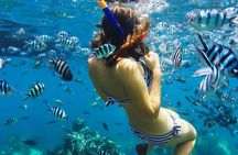 Bali Blue Lagoon Snorkeling Tour with Lunch, Private Transfer