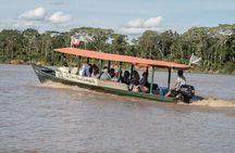 2-Day Jungle Tour: Lake Sandoval, Monkey Island, Hikes, Caiman, & Clay Lick 