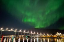 Northern Light Cruise With Luxury Catamaran in Tromso, Norway