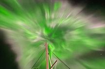Northern Light Cruise With Luxury Catamaran in Tromso, Norway