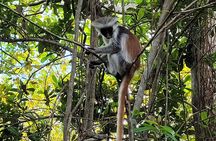 Zanzibar tours