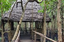 Zanzibar tours
