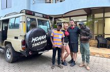 Wildlife Safari Tanzania