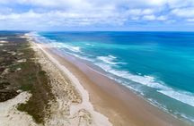 Far North New Zealand Tour Including 90 Mile Beach and Cape Reinga from Paihia
