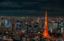 Private Memorable Tokyo Tour with English Speaking Driver