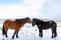 Private Tour Of The Golden Circle With Farm Visits In Iceland