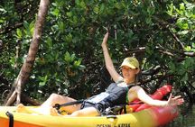 Nauti Exposures - Kayak rental Naples, FL