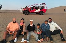 Full Day Tour in Paracas-Ica and oasis Huacachina