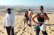 Full Day Tour in Paracas-Ica and oasis Huacachina