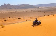 11 Days Grand Morocco Tour from North to South