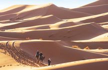 10-Day Morocco Grand Cities, Desert and Coast Guided Tour