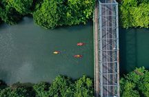 Afternoon Guided Kayak Tour on the Tamarin River